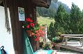 2011-08- (29)